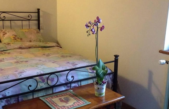 Agriturismo La Morosina - Foto 10