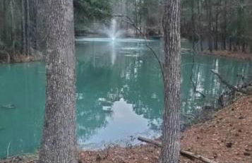 Waterfront Container House In A Magical Forest! - Foto 22