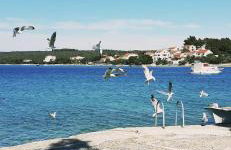 Apartmani Roxy - Foto 35