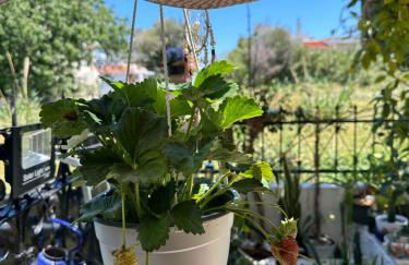 Popis Maison - Photo 33