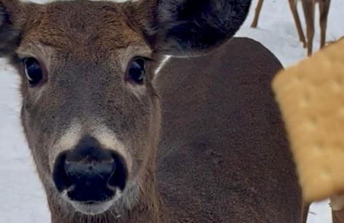 WOW!! Ultimate Pocono Retreat Hot Tub, Game Room, Fire Pit, Near Lakes & Hiking! - Foto 61