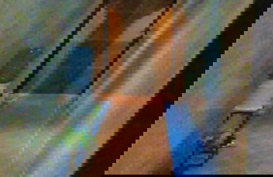 Kaeli's Caribbean Studios - Photo 61