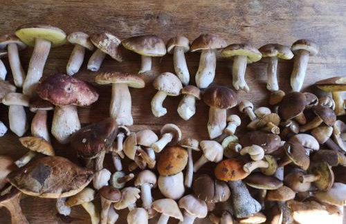 Calm House Krzynia - dom nad jeziorem do wynajęcia - Foto 62