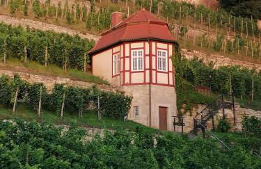 Weinberghaus - Wohnen im Weinberg in der Toskana des Nordens - Foto 31