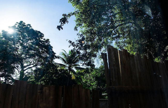 Cabana Pitomba - Foto 54