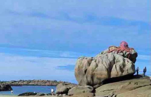 Vacances plages, mer, balades ou GR34 ! - Foto 38