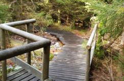 Ferienwohnung Tannenballett im Schwarzwald - Foto 55