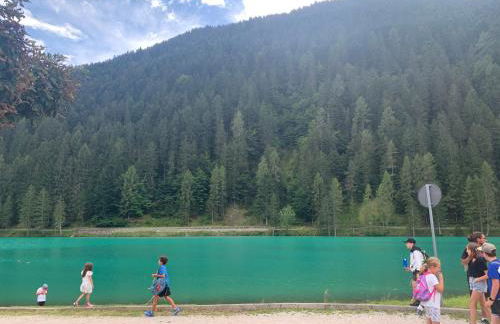 B&B Dolomiti - Foto 36