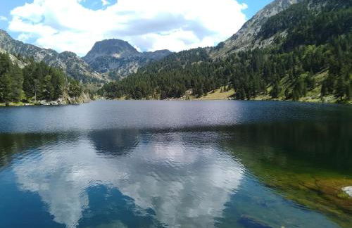 Chalet bois au milieu des Pyrénées - Foto 16