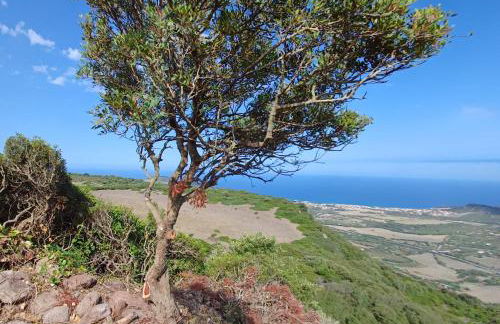 Ianus B&B - Photo 49