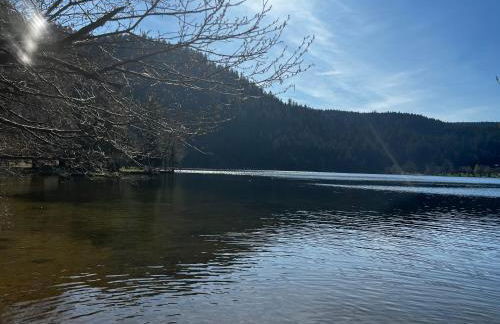 Le petit Kichon - Foto 42