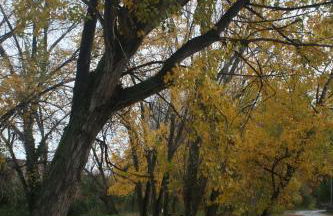 El Campillo, casa de campo cerca de la playa - Foto 64