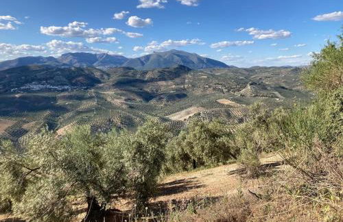 Dehesilla Olive Orchard Retreat - Foto 39