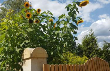 Ferienhaus Zur Ausspanne - Foto 23