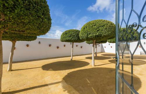 Cortijo Malos Humos Piscina - Foto 32