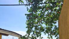 Repouso do Marinheiro - Photo 2, Garden view