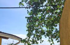 Repouso do Marinheiro - Photo 2