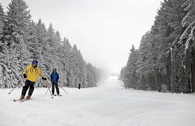 Modern Holiday Home in Eifel With Sauna - Foto 26