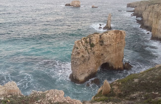 La casa di Aneupe - Foto 44