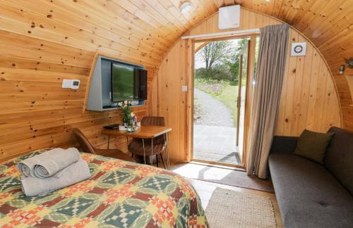 Llugwy Pod - Foto 13