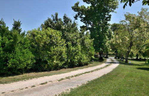 Apartment Napoleon - Foto 25