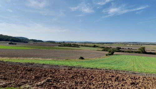 Ferienwohnung Rhönblick - Foto 3