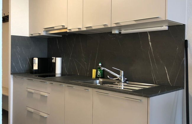 Amazing Studio In Lausanne Close To Epfl and Unil - Foto 12