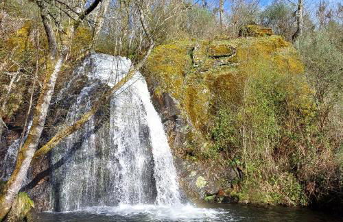 Casa do Loureiro - Foto 23