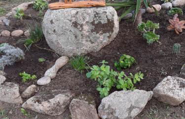 agriturismo gli olivastri appartamento raggio di sole , con piscina e vista mare ,climatizzatore,wifi - Photo 13