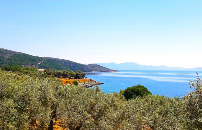 Villa Leonidas GreeceFiloxenia - Photo 47