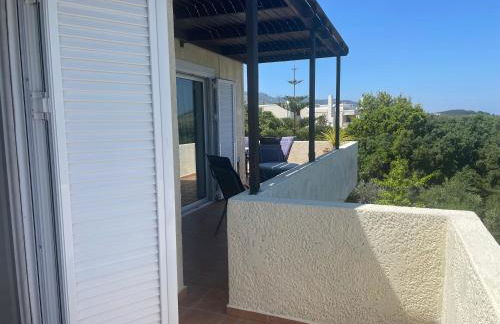 Carpe Diem - Photo 30