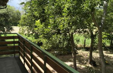 AGRITURISMO TERRAPIA - Foto 38