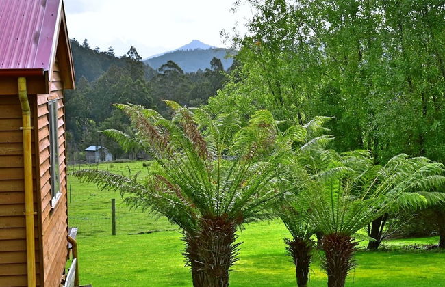 Maydena Mountain Cabins - Foto 44