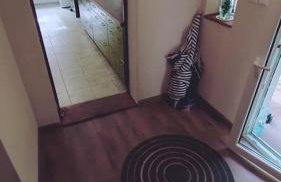 Świerkowe Ranczo Raciszewo - Foto 12