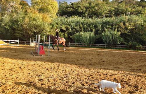 Ridocco Agriturismo - Foto 67