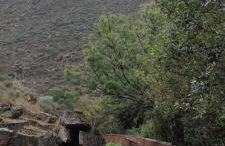 Casa das Histórias - Foto 20