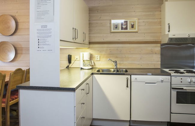 Birkebeineren Apartments - Foto 9