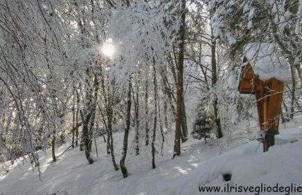 Casa nella Natura Il Risveglio degli Elfi - Foto 19