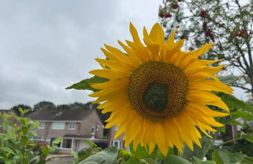 The Hideaway - Foto 6