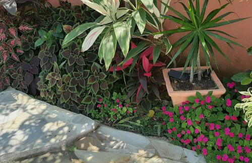 Ecco House Buzios - Photo 4