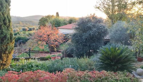 GiuMa Tuscany Historic Country House with Roof Terrace near Saturnia Hot Springs - Foto 3