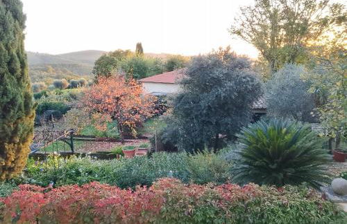 GiuMa Tuscany Historic Country House with Roof Terrace near Saturnia Hot Springs - Foto 3