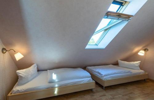 Butterblume DG - Foto 16