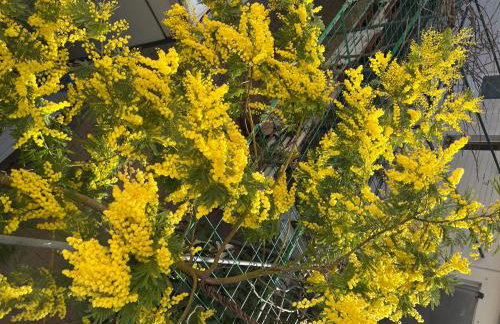 Apartments Petra - Photo 70