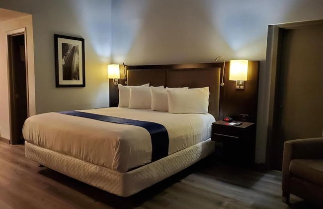 Happy Bay - Photo 14