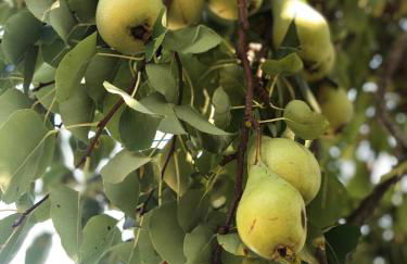 VIN Hotel - Wine Resort and Agriturismo Montieri - Photo 104