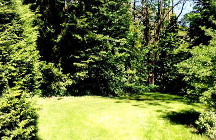 Ferienwohnung Das Fuchsrevier - Foto 26