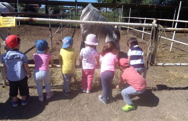 Agriturismo Fattoria Il Bruco - Foto 61