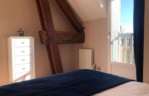 Maison tourangelle au coeur du vignoble Loire Valley - Foto 15