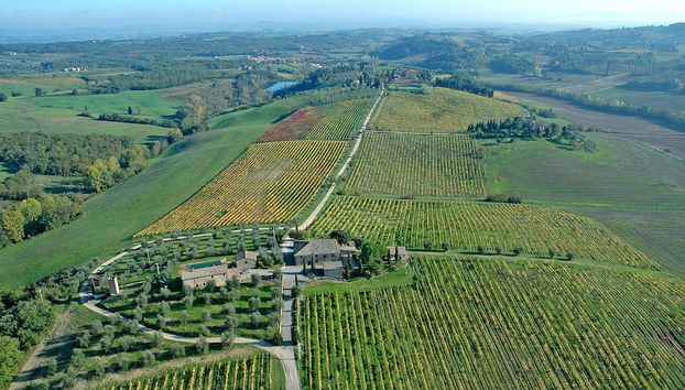 Tenuta di Monaciano - Foto 2, Imagen principal